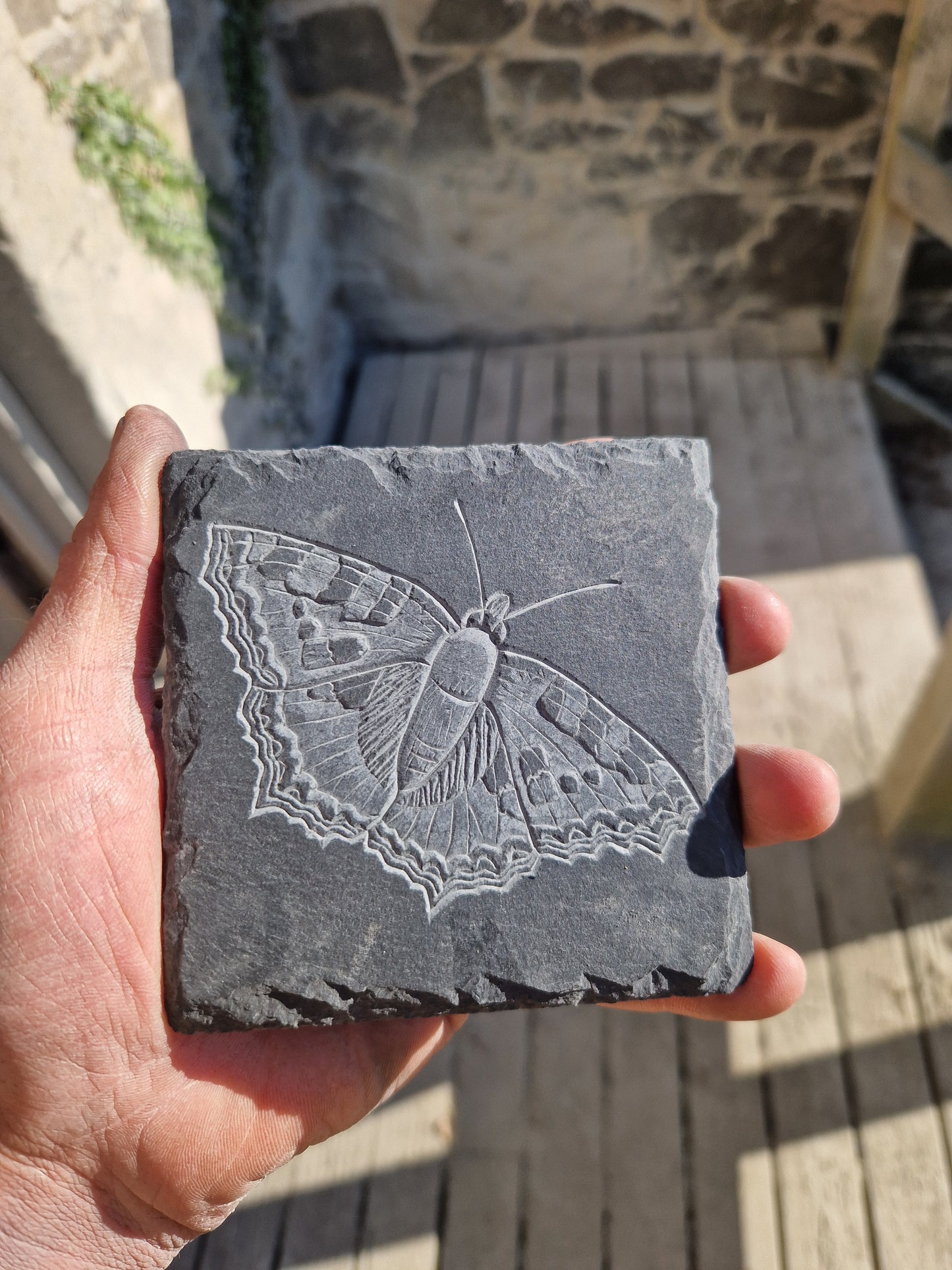 Tortoiseshell Butterfly